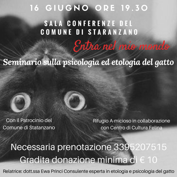 16giugno2017