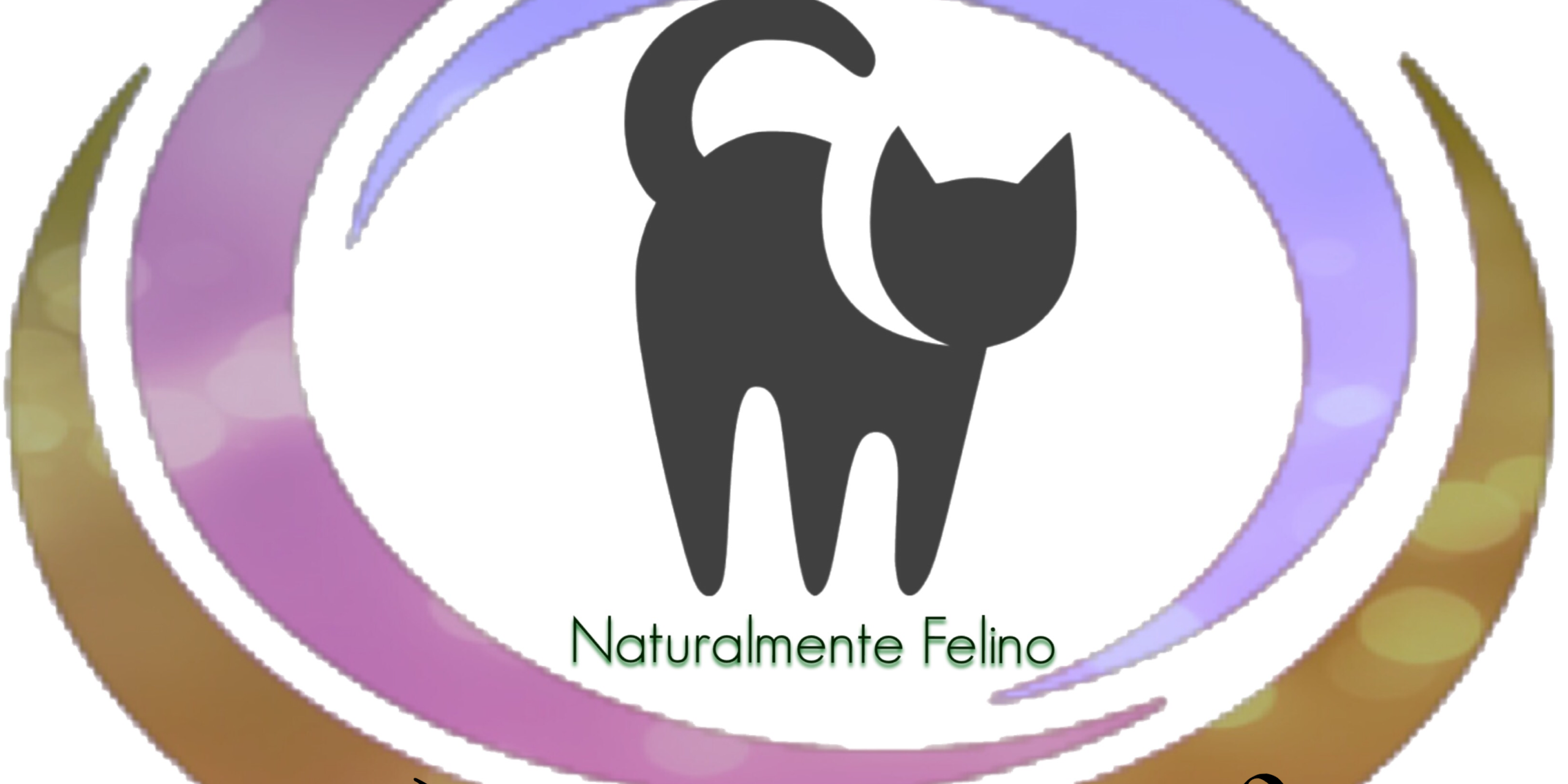 GATTO OLISTICO